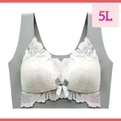 シームレスブラ ノンワイヤー ナイトブラ 大きいサイズ 5L 大きいサイズ