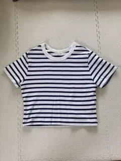 Item thumbnail for item 3c3f9480-899b-49d7-9e5a-0e145977483e