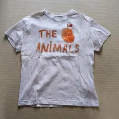 THE ANIMALS OBSERVATORY Tシャツ サイズ6のサムネイル