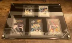 【専用袋入り】ポケミク クリアカード 全5種セット（硬化スリーブ/パネル付き）