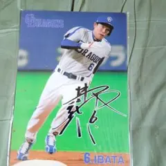 中日ドラゴンズ 井端弘和 選手サイン入り下敷き