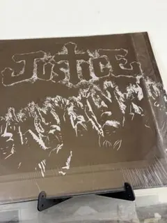 SUBLIME ピクチャーディスク レコード レア盤 サブライム 限定 lp