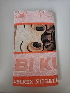 アルビレックス新潟　アルビくんタオル　１０００円ガラポンのサムネイル