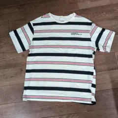 ストライプ 半袖Tシャツ