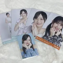 timelesz 寺西拓人 ポートレート チケットファイル ミニクリアファイル