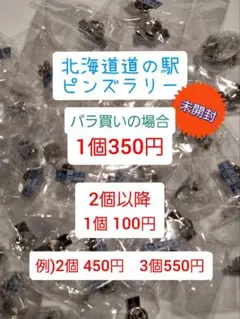 北海道道の駅ピンズ2024年版ゴールド登録抹消廃駅丸瀬布幻ピンズ 