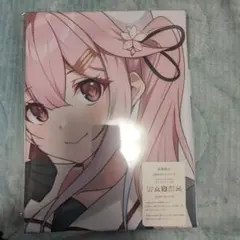 ぃぉゃ様 リクエスト 2点 まとめ商品