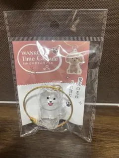 わんこのタイムカプセル ラテ