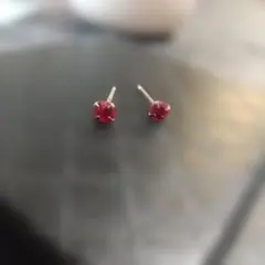 2026年最新】ツツミ ルビーの人気アイテム - メルカリ