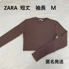 万能　おしゃれ　ZARA 長袖 クロップド丈 トップス ブラウン M 茶色のサムネイル
