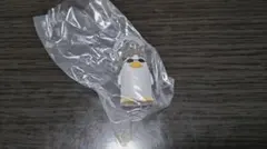 銀魂★めじるしアクセサリー〜忘れっぽい奴はこれをつけろ〜ゲロザベス