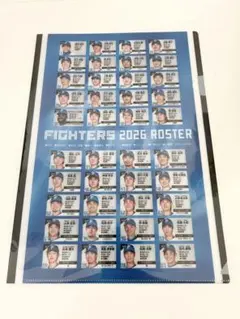 【非売品】北海道日本ハムファイターズ　クリアファイルのサムネイル