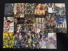 RIZIN ポテトスティック カード17種まとめ売り⭐︎新品・未使用⭐︎