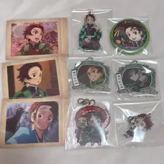 鬼滅の刃 竈門炭治郎 ぱしゃこれ アクリルキーホルダー 缶バッジ 9点セット
