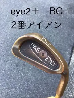 2025年最新】ping eye2の人気アイテム - メルカリ