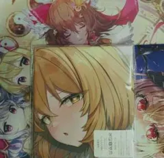 八雲藍 等身大 カバー 東方Project R2 | Mercari