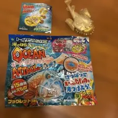 オーシャンアタック&Co (4)クツアンコウトイザらス限定カラー