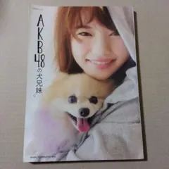 Item thumbnail for item 71df6e37-6f73-4f20-aa8c-ec126b361feb