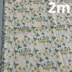 Item thumbnail for item 68dc67ac-04c9-4d5f-813f-0f568433ec3a