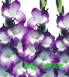 きみちゃん♡様 リクエスト 7点 まとめ商品