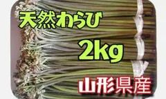 青森県産天然わらび 4kg以上 5月27日夕方採れたて 山菜 新鮮 無