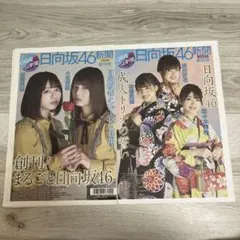 【大幅値下げ！！】日向坂46新聞　創刊号　2セット
