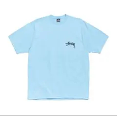 【完売品】STUSSY Victoria Tee Tシャツ メンズのサムネイル