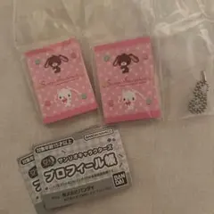 サンリオキャラクターズ プロフィール帳　シュガーバニーズ　2個セット