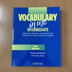 VOCABULARY IN USE INTERMEDIATE