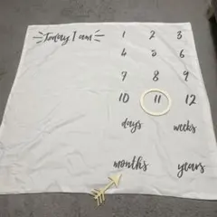 月齢フォトシート ニューボーンフォト 成長記録
