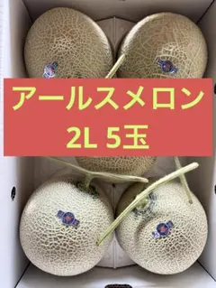 九州産アールスメロン　2L5玉 九州産アールスメロン 2L5玉 - メルカリ
