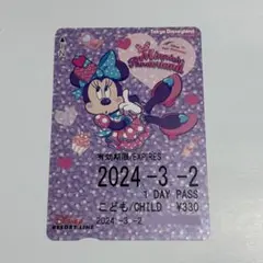 ミニーの日 フリき 2024 こども 穴なし フリーきっぷ リゾートライン