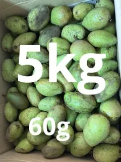 摘果マンゴー✨✨6kg - メルカリ