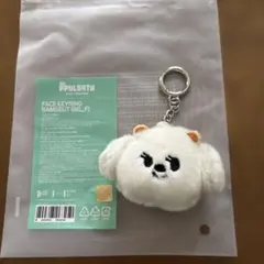 プルバトゥ　PPULBATU バムグッ　 PLUSH KEYRING 初期 TXT PPULBATU プルバトゥ キーリング レインボー ボムギュ