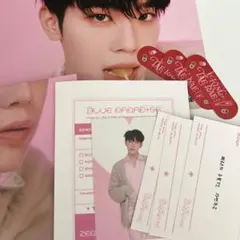 テレ　デジパ封入・フライヤーセット