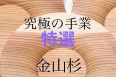 煎茶道具 栄山造 遊魚文 煎茶碗五客 - メルカリ