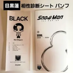 SnowMan POPUP 韓国 ソウル 目黒蓮 相性診断シート パンフレット