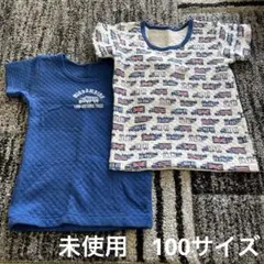 Item thumbnail for item 212af3e2-ffcf-4ede-90ac-d4505a3cd314