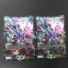 2025年最新】デドダム プロモの人気アイテム - メルカリ