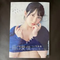 田口愛佳 タレント写真集