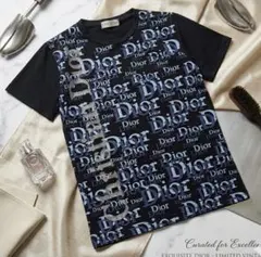 2026年最新】Christian Dior レディース 半袖(Tシャツ) Tシャツ