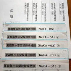 2026年最新】サピックス志望校錬成の人気アイテム - メルカリ