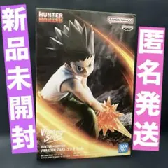 一番くじ HUNTER×HUNTER B賞 ゴン MASTERLISE - メルカリ