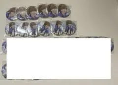 【12点】忍たま乱太郎 東武動物公園 缶バッジ 忍たま 不破雷蔵