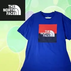 THE NORTH FACE ビッグロゴ　ブルー　半袖　2XL