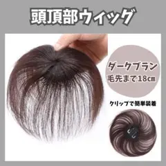 ヘアピース ウィッグ 部分 茶 頭頂部 薄毛 円形脱毛症 つむじ 0709