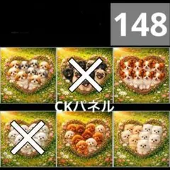ハンドメイド オーダー受付ページ ♡ひょっこりインコ パネル♡ - メルカリ