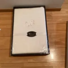 Item thumbnail for item ee95e7b8-0d01-400d-9b1f-9db844bcbe43