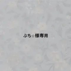 【ぷち⭐︎様専用】No.31