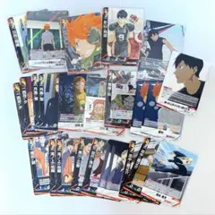 ハイキュー バボカ 選抜強化合宿 烏野高校